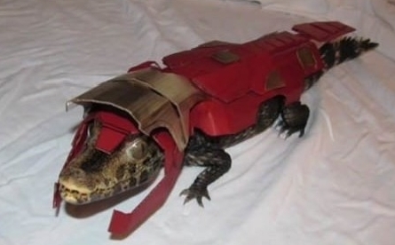 croc.jpg