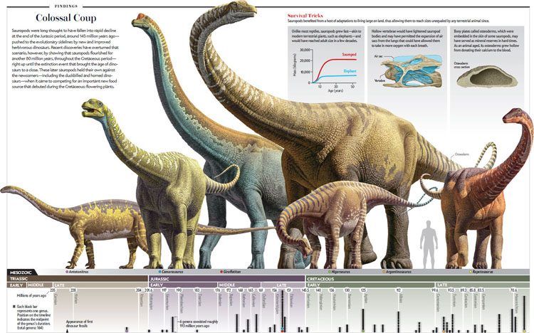 sauropods.jpg