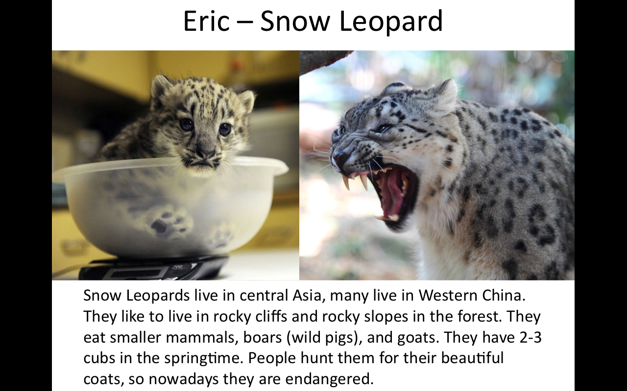 11 ea.png