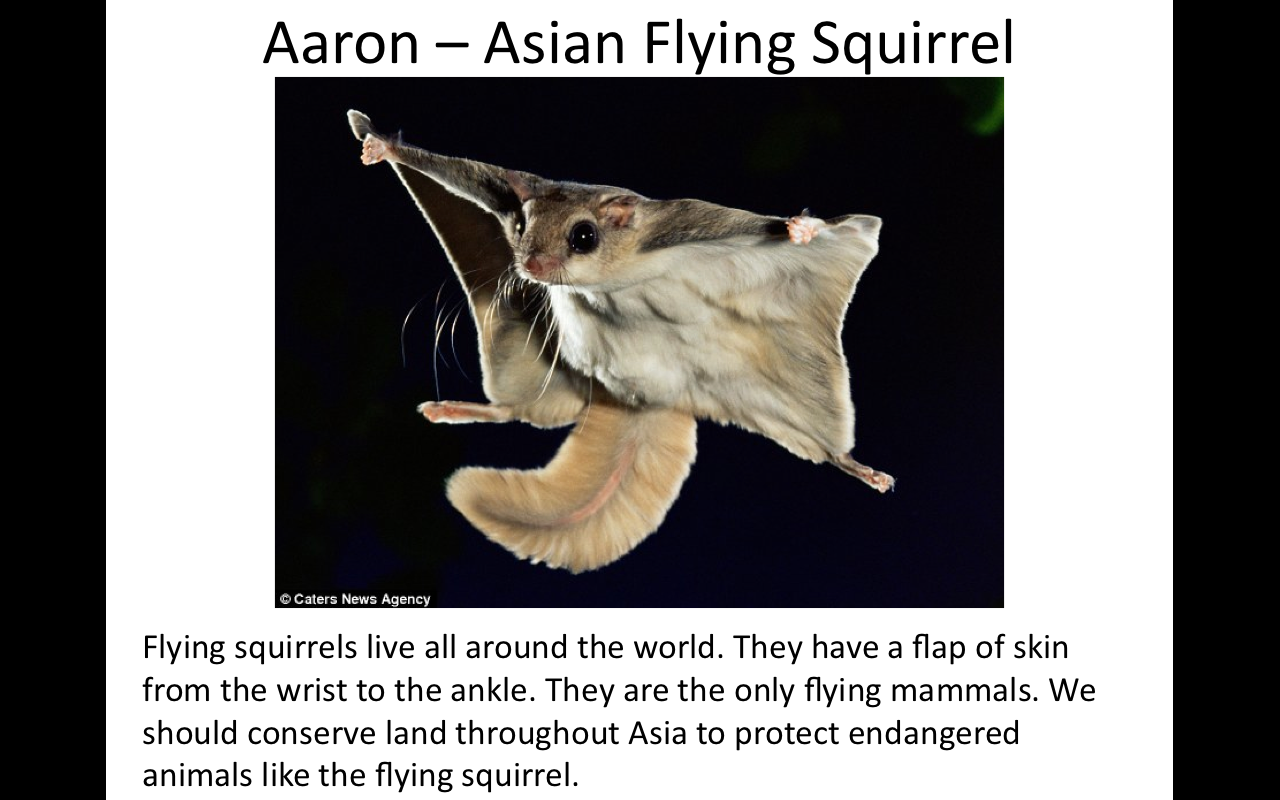 6 ea.png