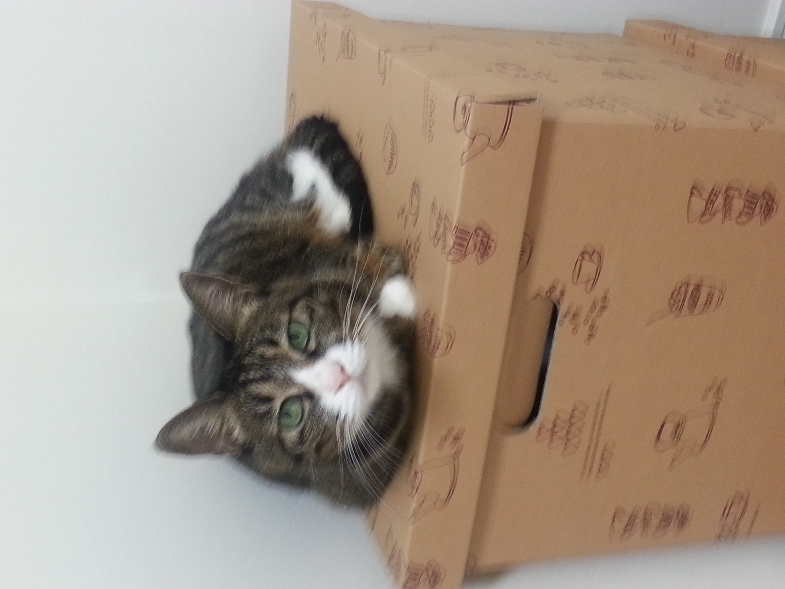 20130913_130525.jpg
