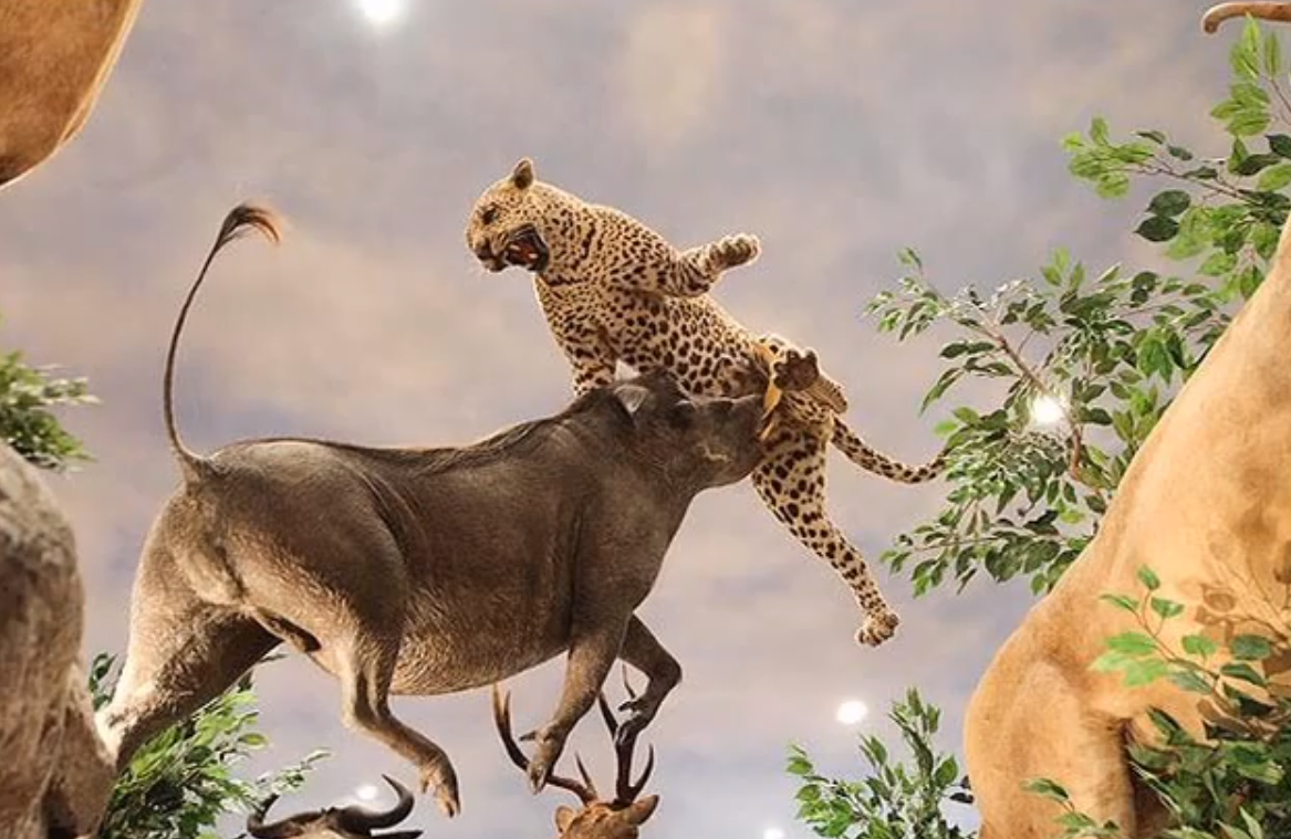 Dressed-for-Safari-Epic-Battle.png