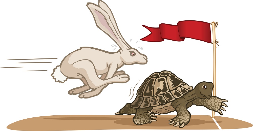 Tortoise-and-the-Hare.jpg