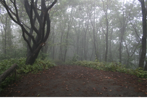 IMG_10122015_205306.png