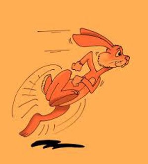 runrabbit.jpg
