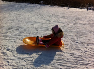 sled.jpg