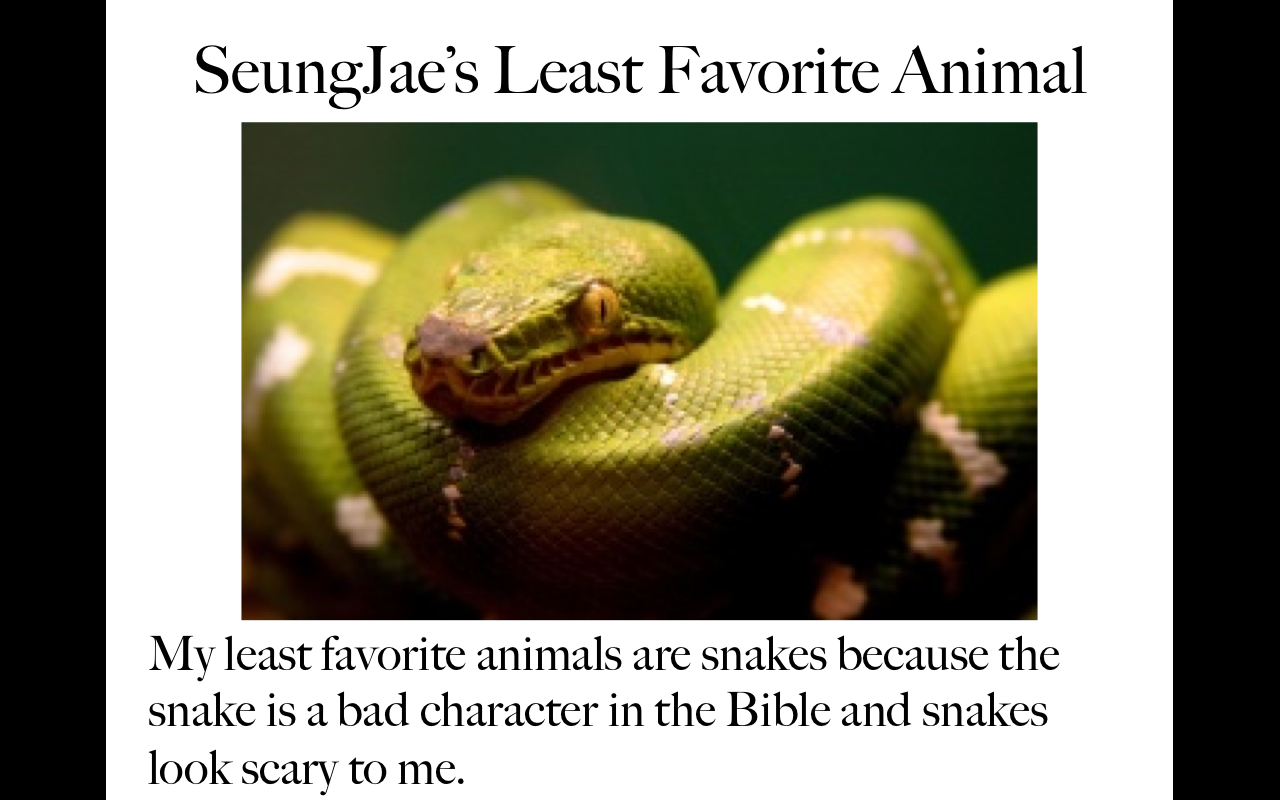 Animals19.png