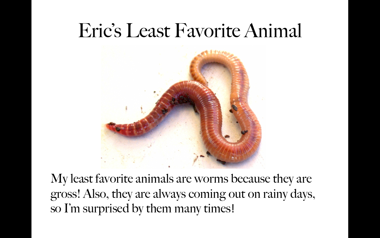 Animals13.png