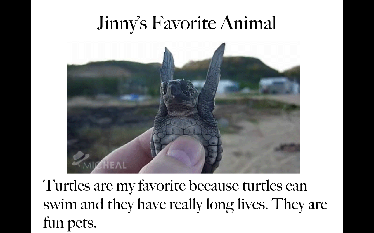 Animals20.png