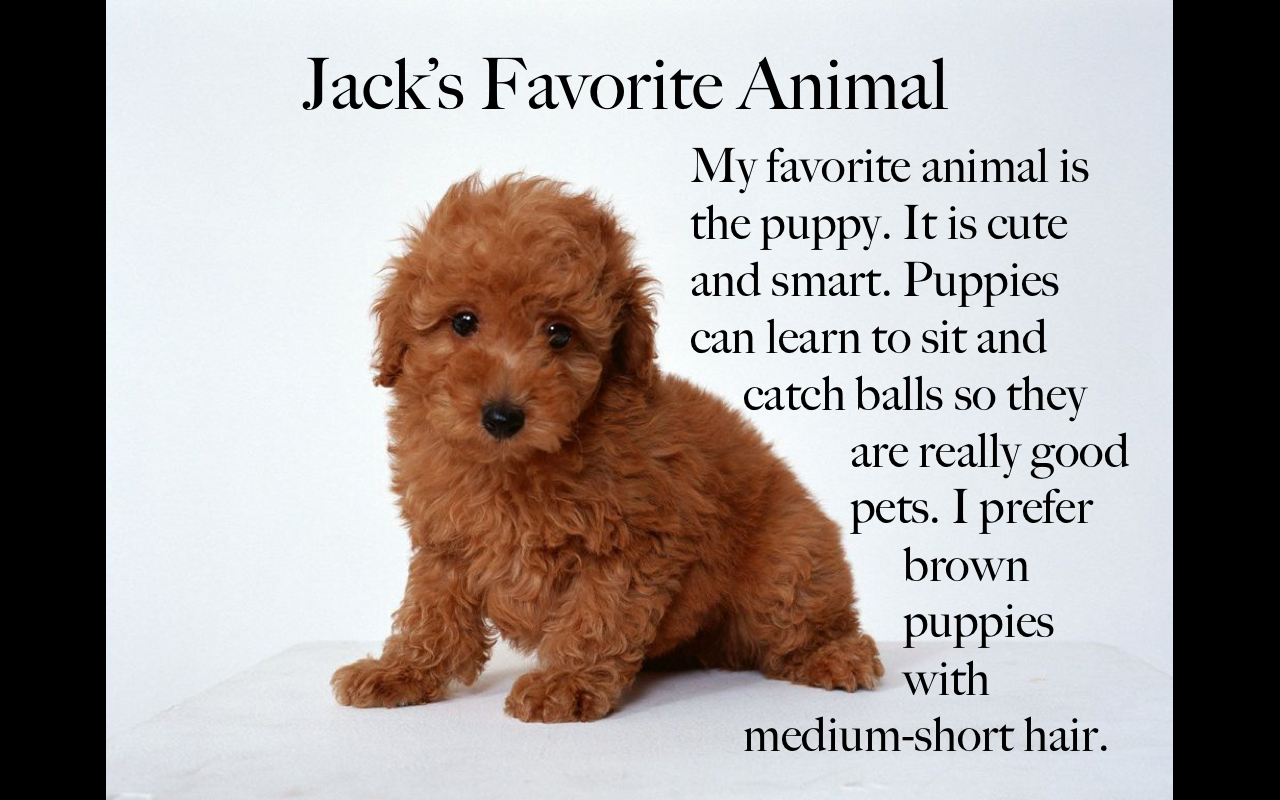 Animals14.png