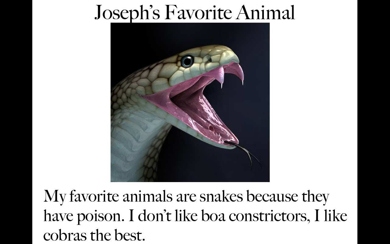 Animals22.png