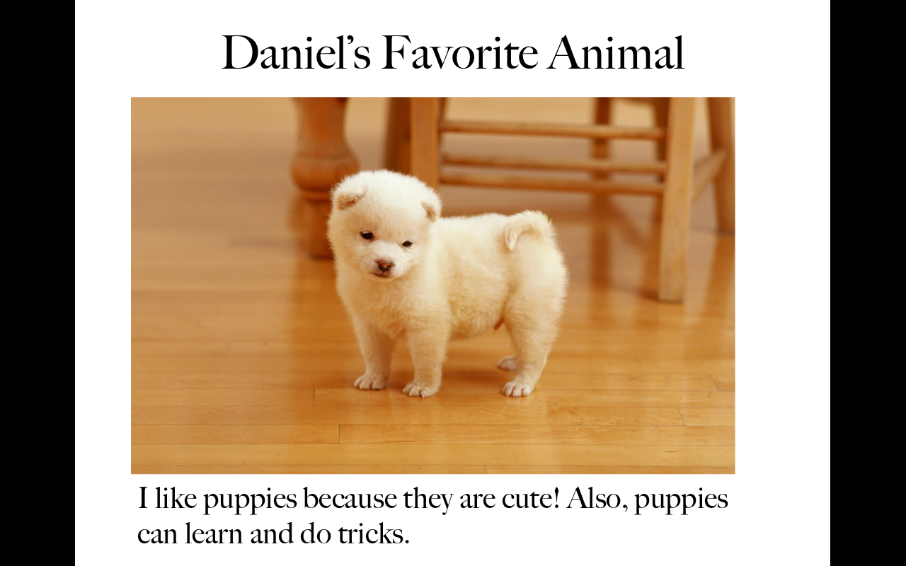 Animals16.png