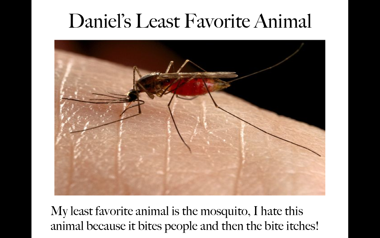 Animals17.png