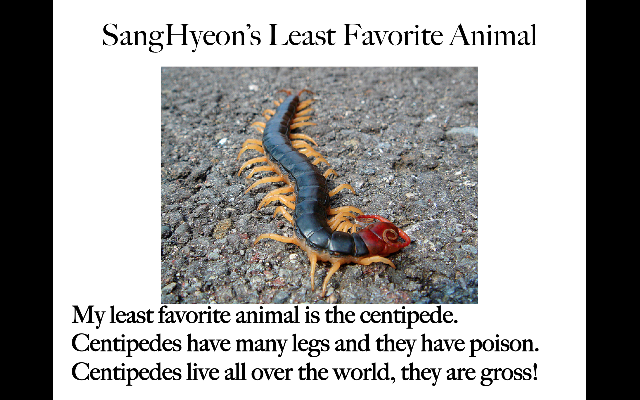 Animals10.png