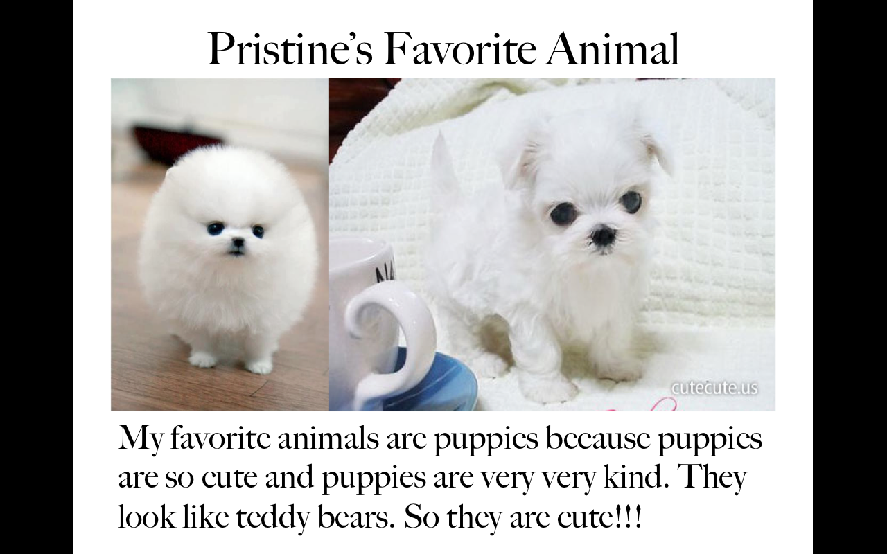 Animals6.png