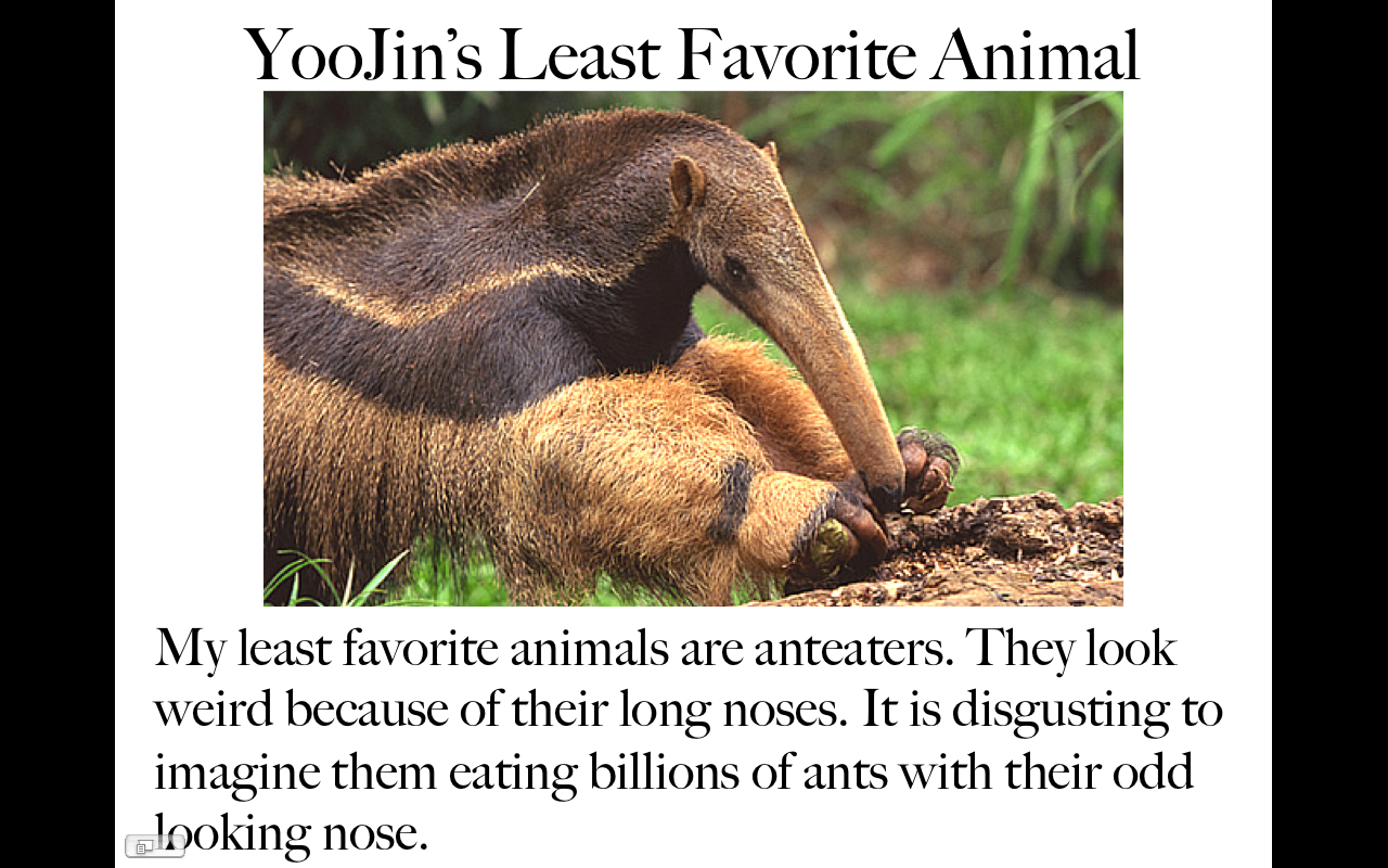 Animals3.png