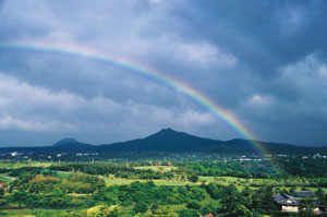 rainbowjuliein.jpg