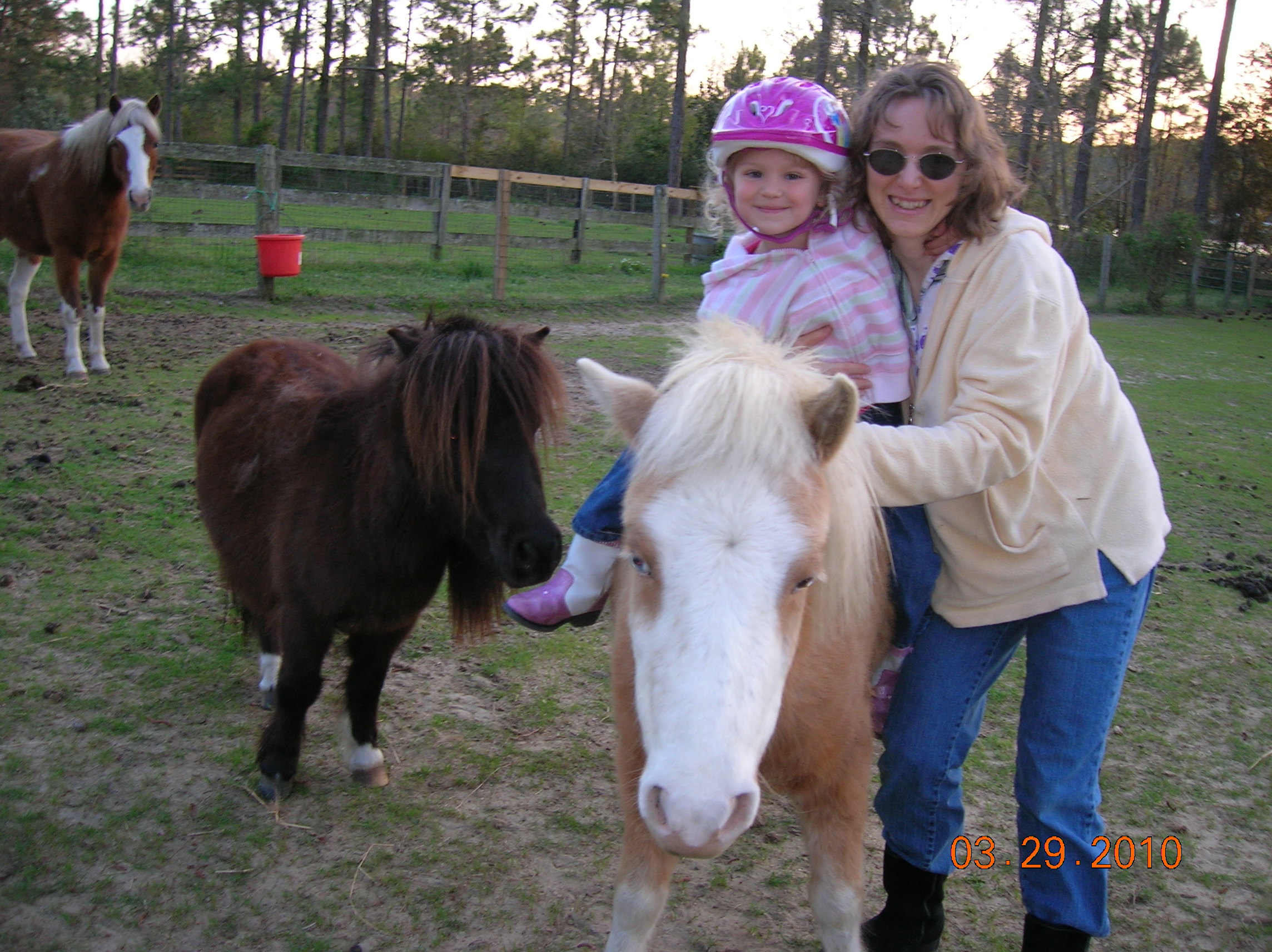 horse 014.JPG