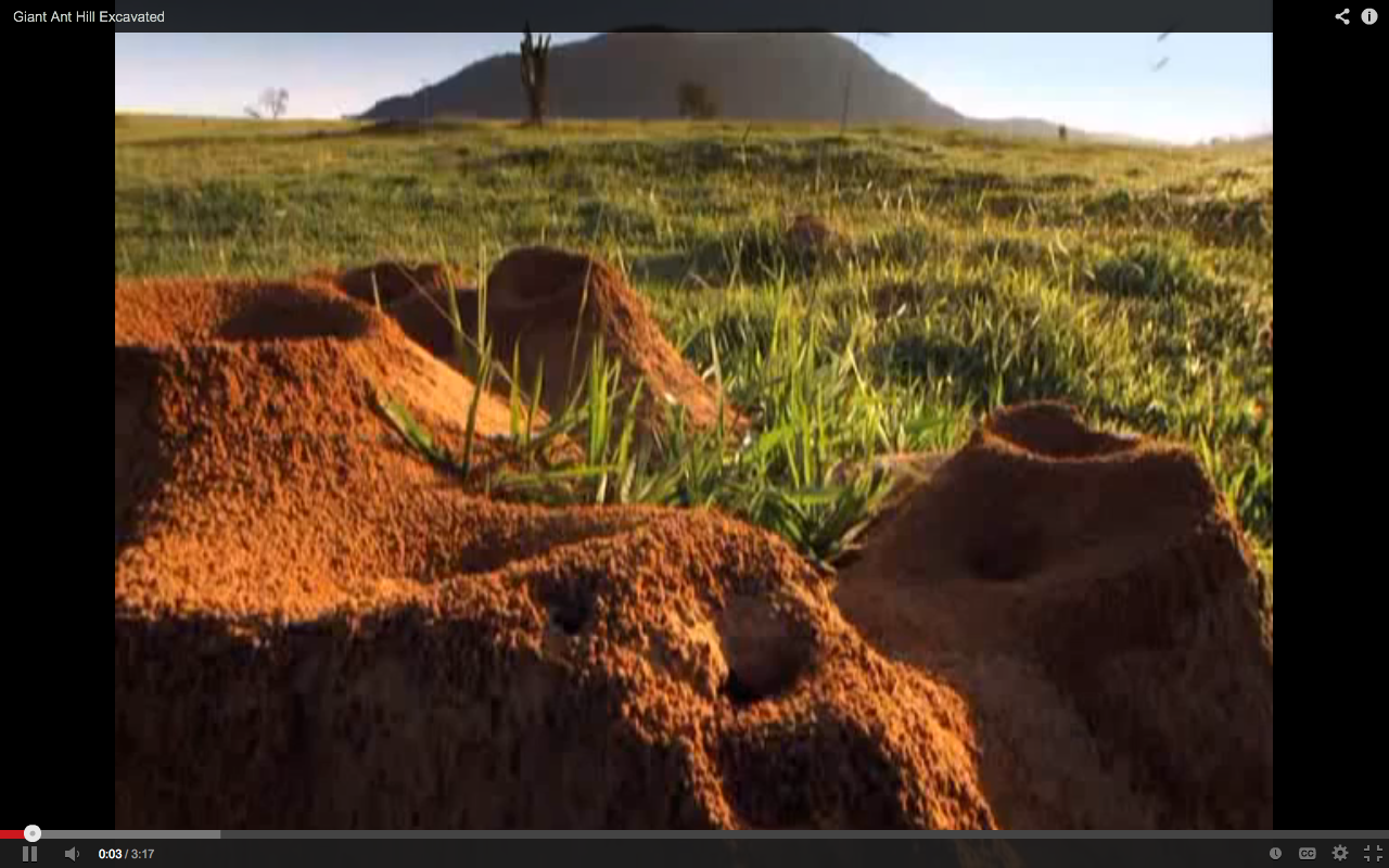 Screen Shot 2013-10-09 at 6.00.52 PM.png