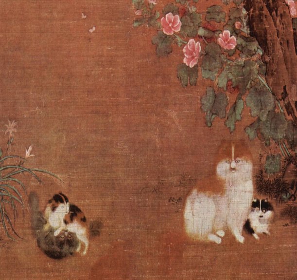 rsz_cats.jpg