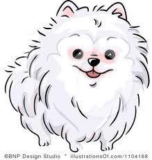 white dog2.jpg