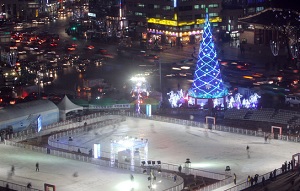 skatingrink.jpg
